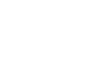 realty south logo